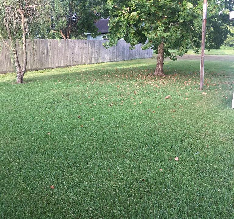 2nd image of 708 Live Oak Ave