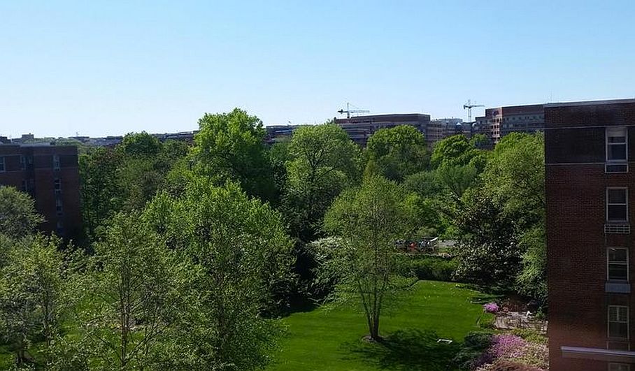 View from apartment