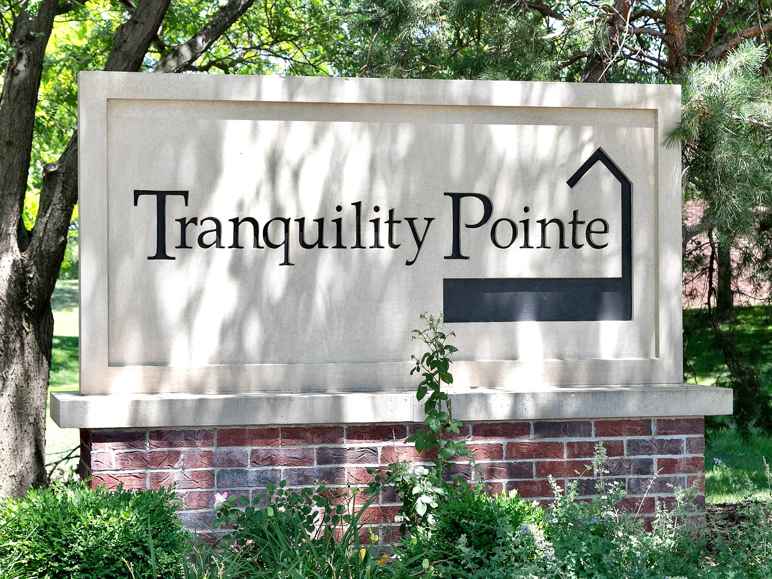 Tranquility Pointe — Photo 1