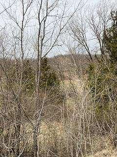 3rd image of LOT 10 SE Sycamore Dr