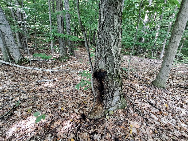 2nd image of L6 US-9
