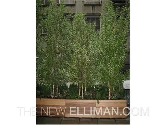 Rented by Douglas Elliman | media 30