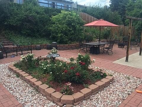 Rose garden in the back yard