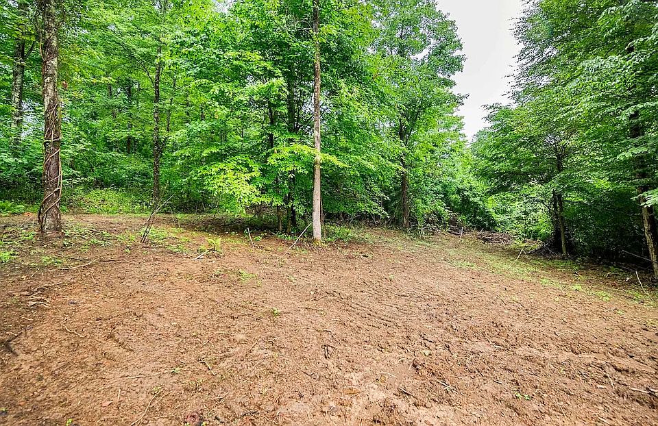1st image of LOT 6 Burnt Cabin Rd