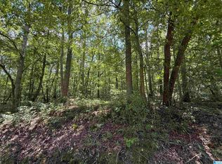 0 County Road 58 #1, Wedowee, AL 36278