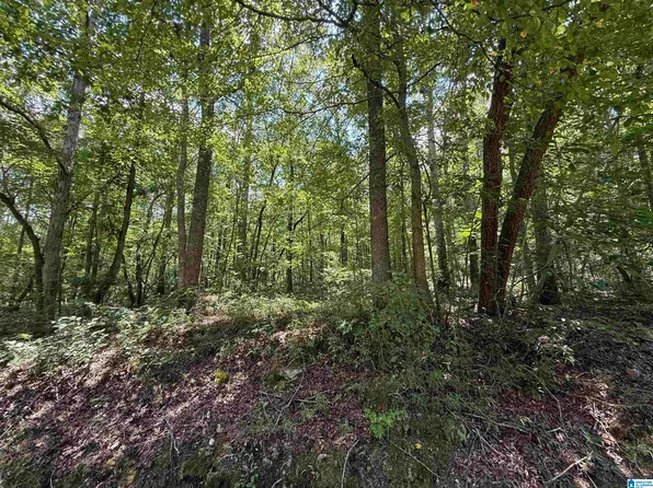 0 County Road 58 #1, Wedowee, AL 36278