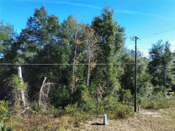 0 SE 178th Ave Lot 1, Silver Springs, FL 34488