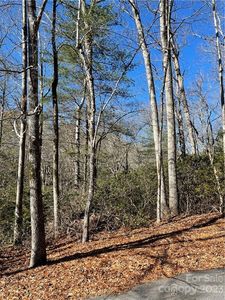10 Renea Dr, Brevard, NC, 28712