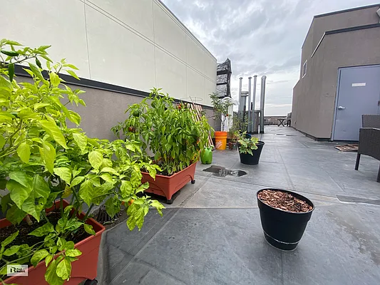 Rented by PadRabbit LLC | media 46