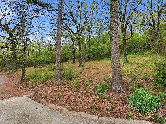 5th image of 175 Acklin Gap Rd