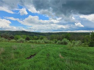 74 Palmer Rd, Erin, NY 14838