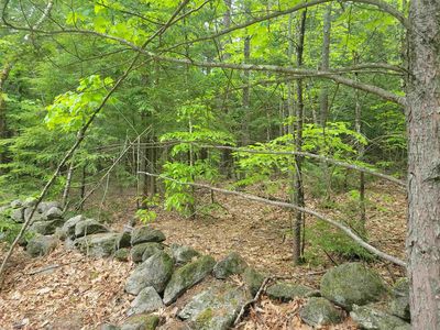 Lot 1-9 Old Turnpike Road, Epsom, NH, 03234