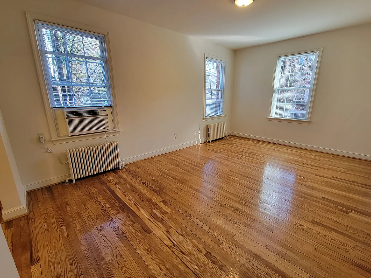 Luray Apartments — Photo 3