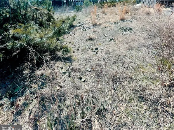 Pintail Ln, Milton, DE 19968