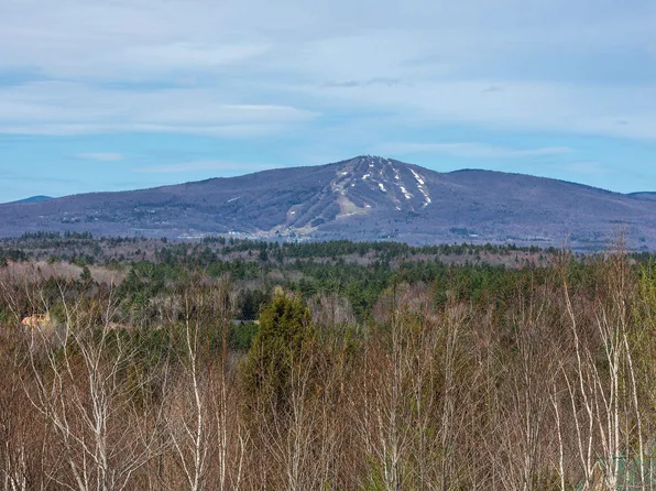 59 Garden Loop Road, Winhall, VT 05340