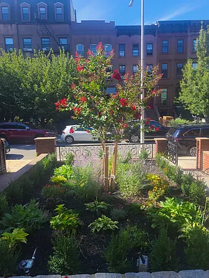 Rented by Douglas Elliman | media 18