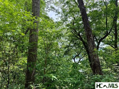 14 Via Del Lago, Cullowhee, NC, 28723