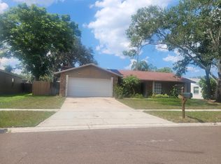 718 Caliente Dr, Brandon, FL 33511