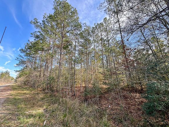 4739 Zavallard 3