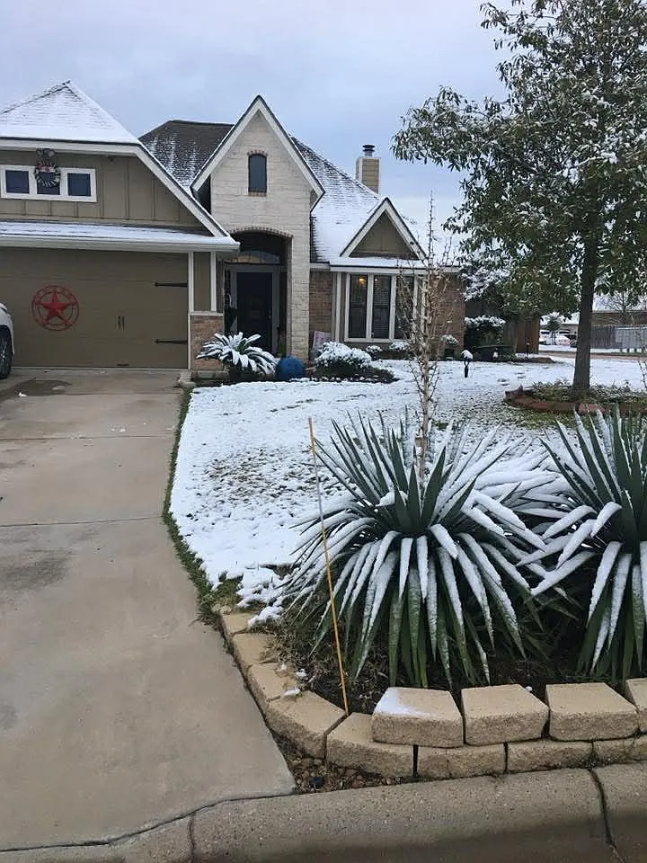 3 bed, 1995 sqft, $1,900 — Photo 1