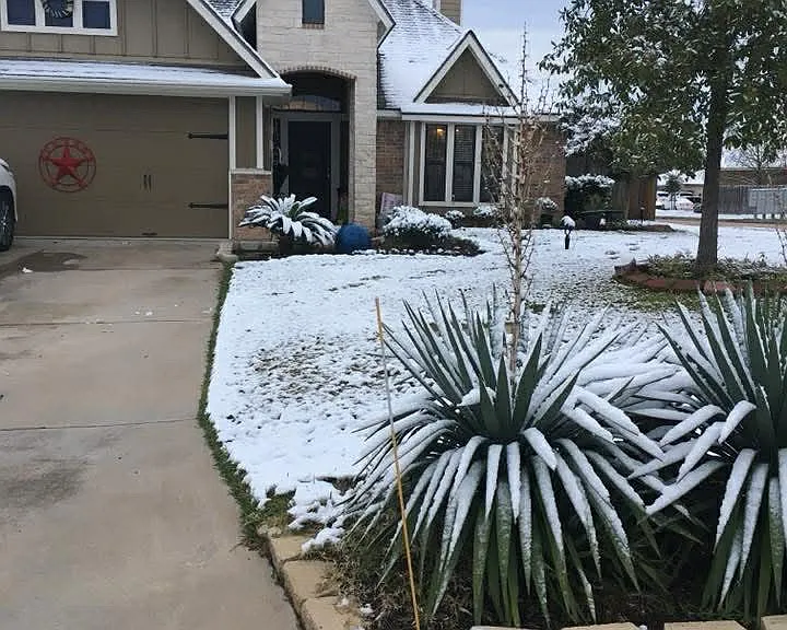 900 Cobble Gate Dr — Photo 1