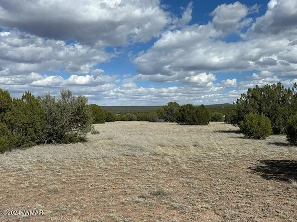 N 8201st Lot B, Concho, AZ 85924