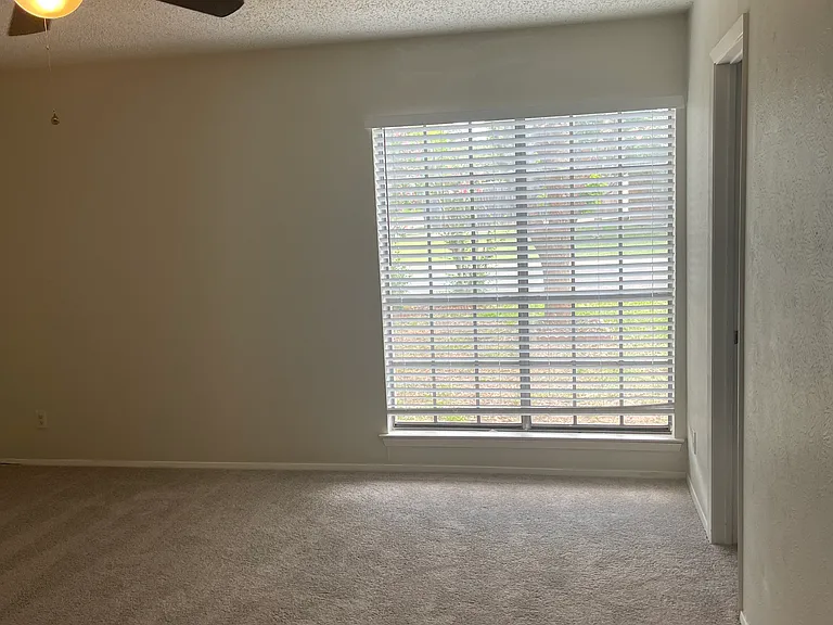 4221 Longhorn Trl — Photo 11