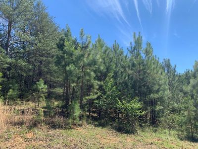 42 River Front Dr, Sparta, TN, 38583