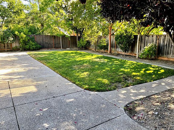 Back yard