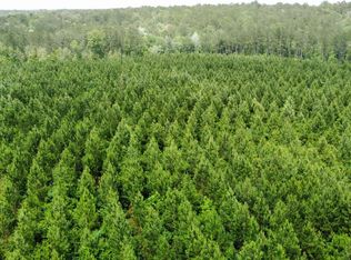 2 Deep Creek Rd, Wiggins, MS 39577