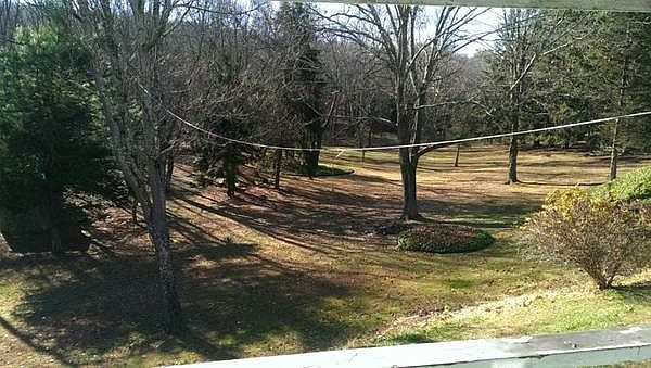 3 acres of yard, full maintenance by owner