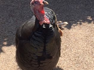 403 Lago Verde Dr, Austin, TX 78734