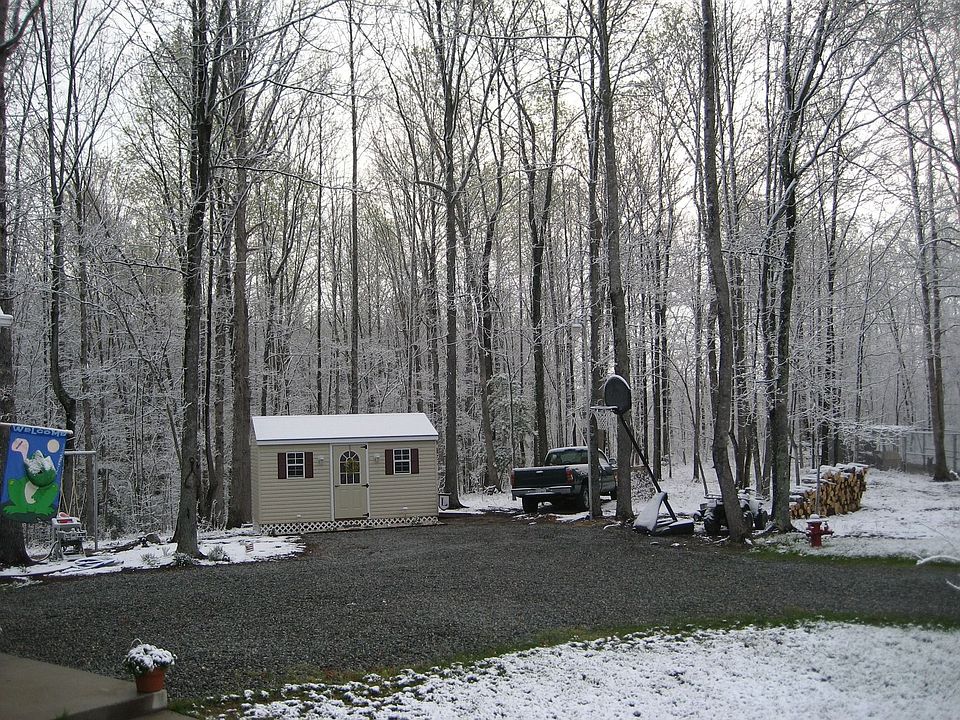 Our Shed and some of the woods surrounding our home. 