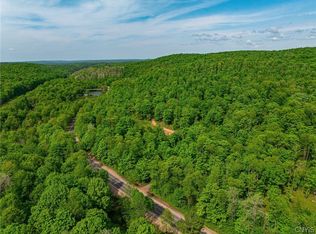 0 Route 27, Fine, NY 13639