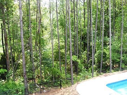 woods on back part of lot