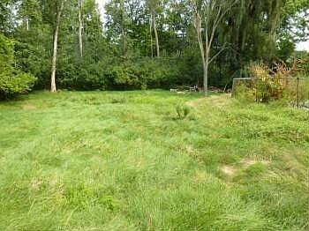 2nd image of 28280 Wildwood