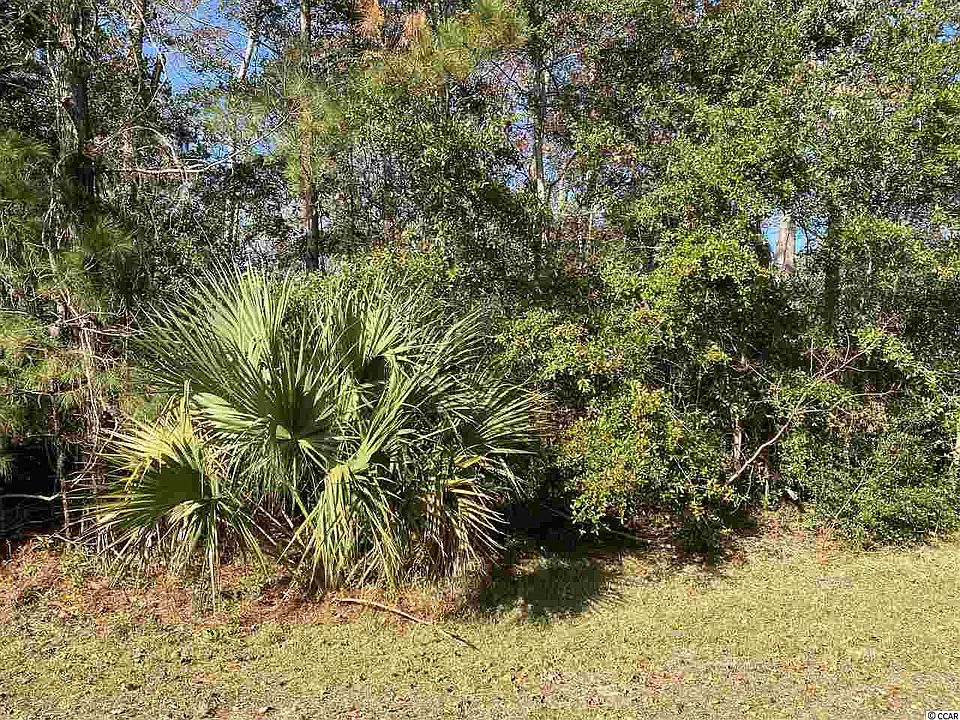 1st image of 257 Trace Dr