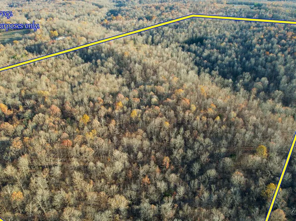 (undisclosed Address), Thayer, MO 65791