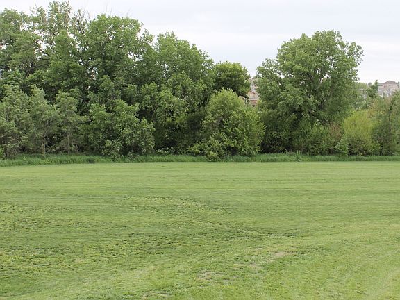 Field behind the house