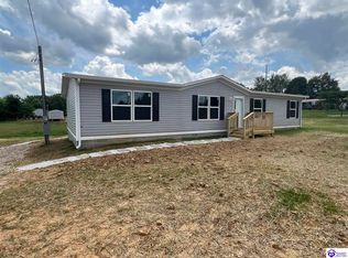 1300 Medley Dr, Ekron, KY 40117