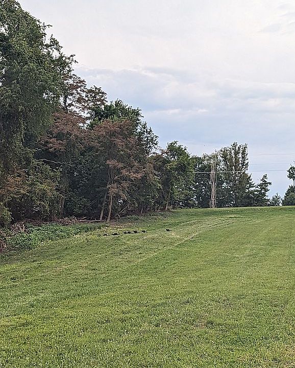 100 Breeding Hill Rd, Vanderbilt, PA 15486 Zillow