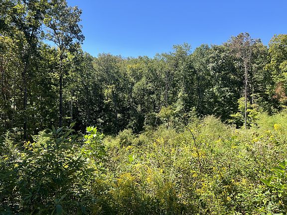 5th image of 223 Clear Springs Rd Lot 53-B