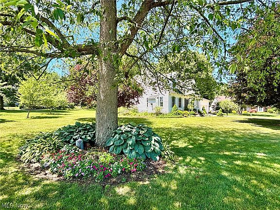 3rd image of 546 Geraldine Ct