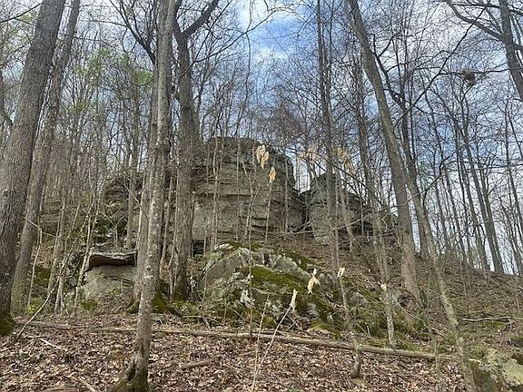 2nd image of LOT 84 Buckeye Ln