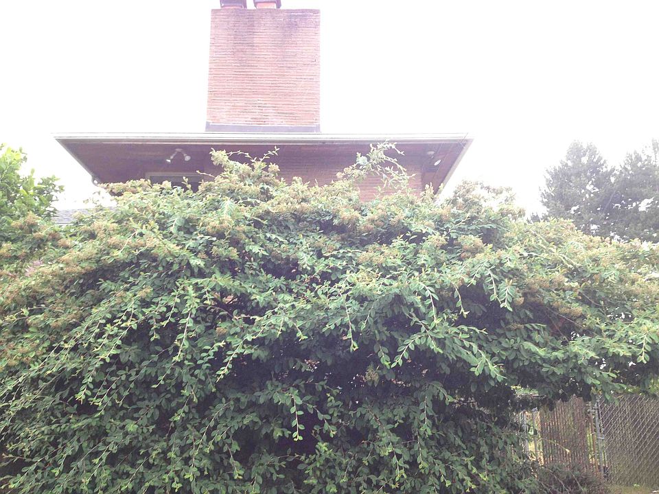 2nd image of 6555 29th Ave NE