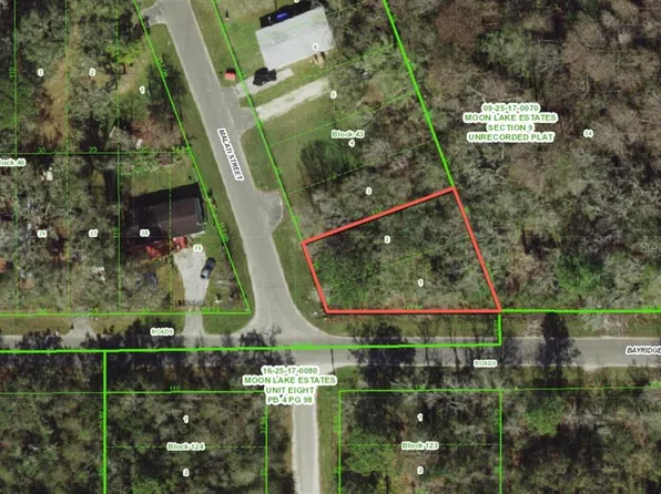 11000 Malati St Lot 1, New Pt Richey, FL 34654