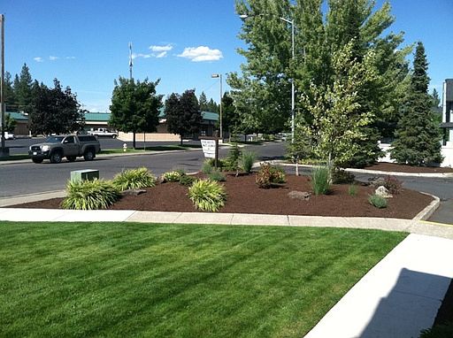 2nd image of 427 W Bellwood Dr APT 12