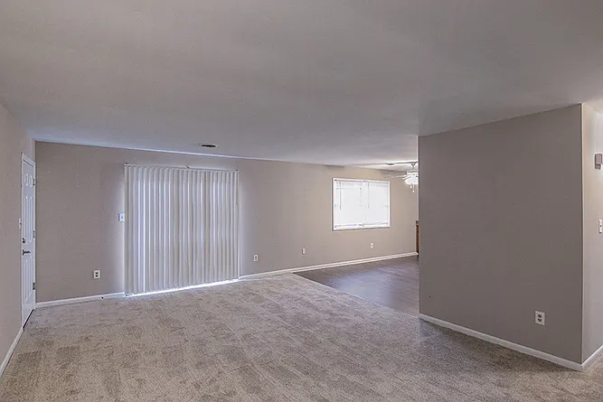 Elmwood Apartments — Photo 9