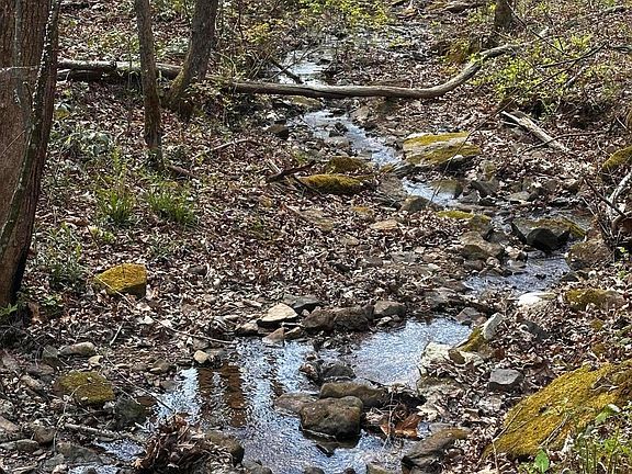2nd image of 0 Long Branch Rd #0