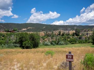 224 River Bank Ln, Glenwood Springs, CO 81601